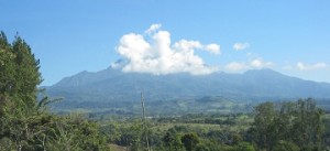 Panama Gourmet Coffee - Volcan Baru