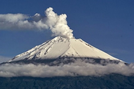 What Is Pink Bourbon Coffee - Nevado del Huila