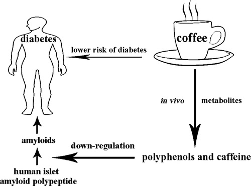 Update: Coffee and Diabetes